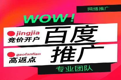 某知名品牌如何通过SEM服务提升转化率